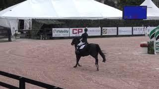 Hailey Royce and Beja - 7th Low Junior Classic WEF 3 2018