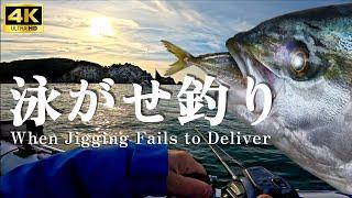 Winter Kingfish Fishing in Japan: A Short Film Pursuing Big Fish in the Cold Seas