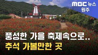 2024. 9. 15 [원주MBC] 풍성한 가을 축제속으로.. 추석 가볼만한 곳