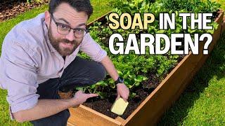 Stupid Garden Tips That Work Surprisingly Well