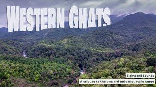 Western ghats - A tribute to the Biodiversity - Birds ,Butterflies, Animals, Reptiles and much more.