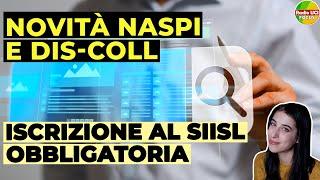 NASpI e DIS-COLL Novità 2024: Arriva l'iscrizione obbligatoria al SIISL