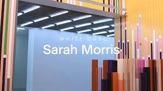 In Focus: Sarah Morris on 'Ataraxia' | White Cube