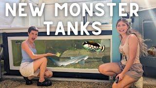 NEW MONSTER FISH Tanks at Atlas Aquarium!! (FULL TOUR)