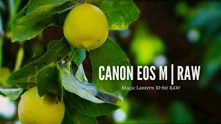 Canon EOS M Magic Lantern: Make Your Camera Better