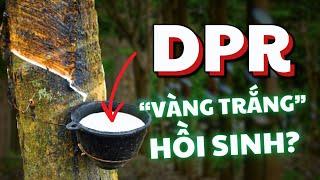 Cổ Phiếu DPR - Cao Su Đồng Phú | "Vàng Trắng" Có Thực Sự Hồi Sinh?