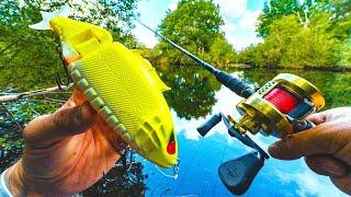 On pêche avec des leurres AGRESSIFS dans un étang ATYPIQUE caché au milieu de la forêt !