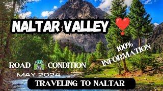 Naltar Valley ️| Gilgit | New Road ️ |