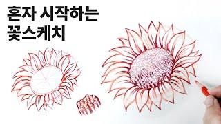 Drawing Sunflower Sketch for Beginners