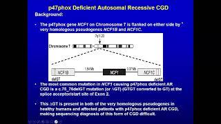 Emerging diagnostics  therapies for chronic granulomatous disease CGD 2024 PI Conference 1