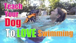 How to Teach Your Dog to Love WATER & SWIMMING