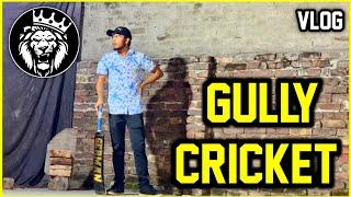 Gully Cricket ( Bachpan ki Yadein ) Vlog / Star ANONYMOUS