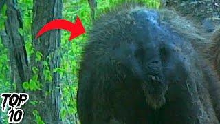 Top 10 Nebraska Scary Urban Legends