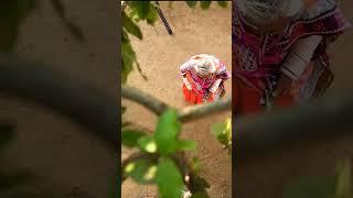 Banjara Full Comedy Narengi Khan Vaya Karadho Banjara Joke  FISH VINOD KUMAR