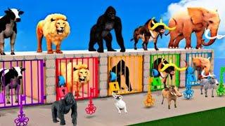 animals select right key for open door | animals choose right fountain  for crossing | animals battl