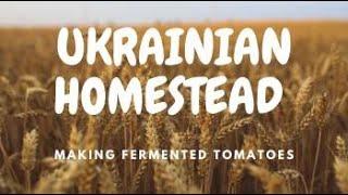 Ukrainian Homestead: Making Fermented Tomatoes