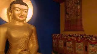 Buddhist Temple - an inside story