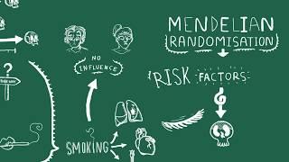 A two minute primer on mendelian randomisation