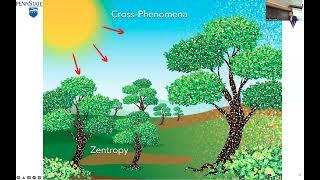 Theory of Cross Phenomena: A seminar at Theory of Condensed Matter at Cavendish (2022 05 19)