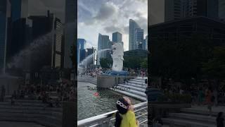 Visiting Merlion Singapore