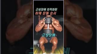 근성장에 최적화된 하체 운동 순서
