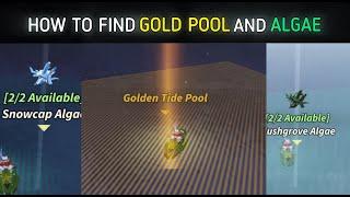 How to Find GOLDEN TIDE POOL AND ALGAE Fast and Easy in Roblox Fisch!