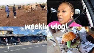 Weekly Vlog: Preps for my late fathers ceremony | Lunch date | Mini grocery haul| SA YouTuber