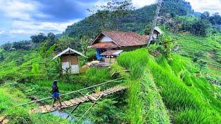 DIJAMIN BETAH MENIKMATI HIDUP DI KAMPUNG YANG INDAH ALAM DESANYA, SUASANANYA ADEM, AYEM & TENTRAM