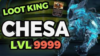 Loot King: Chesa Kubrow Build for Level 9999 |Warframe]