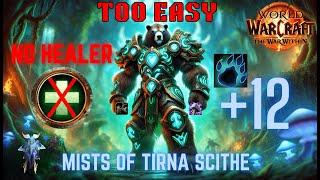 NO HEALER +12 Mists of Tirna Scithe (Guardian Druid POV)