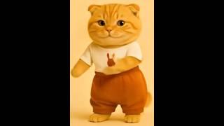 무심한 냥이 힙한 댄스가 이렇게 귀여울 일? #고양이댄스#ai고양이쇼츠#귀여운냥이  This chubby cat got better moves than me 