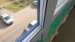 Пластиковые окна в 2025. Rehau Intelio 80mm