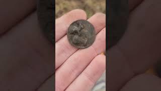 Metal Detecting A Long Lost Plantation Home #history #metaldetecting