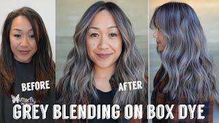 Hair Transformations with Lauryn: Grey Blending on Previous Box Dye Ep. 203