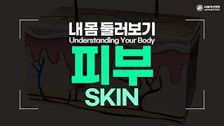 Skin [Understanding Your Body]