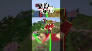 Wild Wild Life || Minecraft Song Animation @GideonMusic  #minecraft  #wildlife  #3rdlife