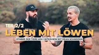 Leben mit Löwen!  Dean Schneider im Interview (Teil 2)