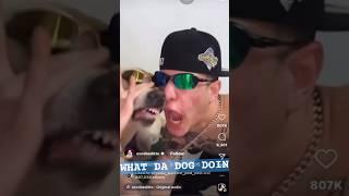 Beatboxing dog   #dog #doglover #music #shorts #viral #trending