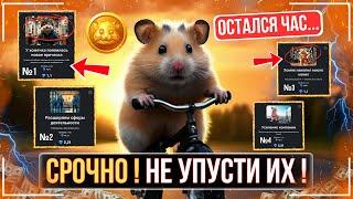 ️ HAMSTER KOMBAT - СРОЧНО! СДЕЛАЙ ЭТО ПОКА ЕСТЬ ВРЕМЯ КОНЕЦ СЕЗОНА !!! НАЧАЛОСЬ САМОЕ ИНТЕРЕСНОЕ