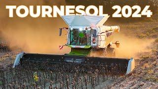 MOISSON TOURNESOL 2024 | CLAAS LEXION 8800 TT chez AXIAL FARM 