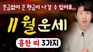 [띠별 운세] 양력 11월, 갑자기 큰 돈이 나갈수도 있다 !! 불리한 띠 3가지