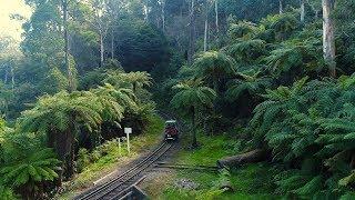 Dandenong Ranges Flythrough