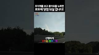 클릭하는 순간 로또 당첨되시길