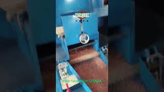 Economic 300kg/h Copper Wire Chopper Machine From BSGH | High Recovery Rate Copper Recycling