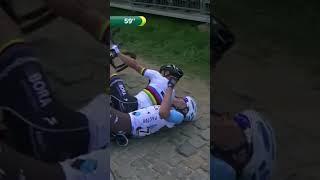 Sagan vs spectator