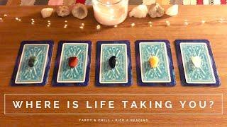 Where Is Life Taking You? Pick A Reading - Tarot & Chill