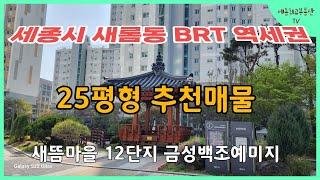 세종시 아파트 새롬동 BRT 역세권 25평형 추천 매물  #세종시 #새롬동 #새뜸마을 #다정동부동산