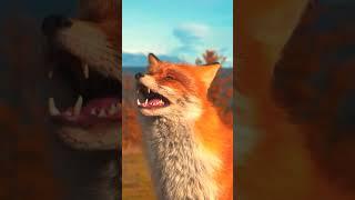 Red Fox Sounds asmr 