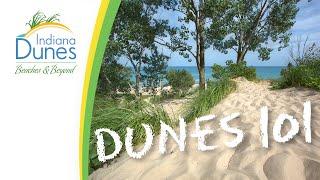 What Are the Indiana Dunes? — Dunes 101: Orientation | Indiana Dunes