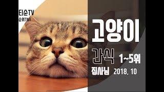 고양이 간식 BEST5 모음